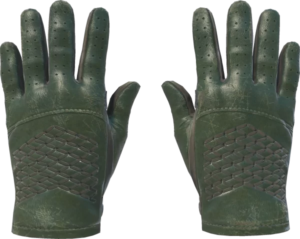 ★ Driver Gloves | Racing Green (Field-Tested)