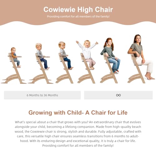 New Upgrade 3-in-1 Convertible Wooden High Chair for Babies & Toddlers 10 Levels Adjustable 3-Tier Remove & 2 Adjustable Wood