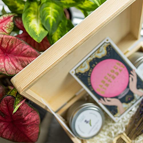 Large Wooden Storage Box with Hinged Lid | 11.8 x 7.87 x 5.51 inches (+-0.5) | Plain Unpainted Gift Box for Tool Toy Shoes