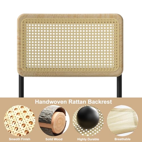 400lbs - Heavy Duty Rattan Dining Chair, Armrest Leather Cushions and Metal Frames, High-end and Durable with Rattan Weaving,