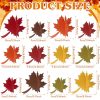 24 Pcs Fall Wooden Table Signs Maple Leaf Wood Table Decoration Fall Thanksgiving Tiered Tray Decoration Thanksgiving